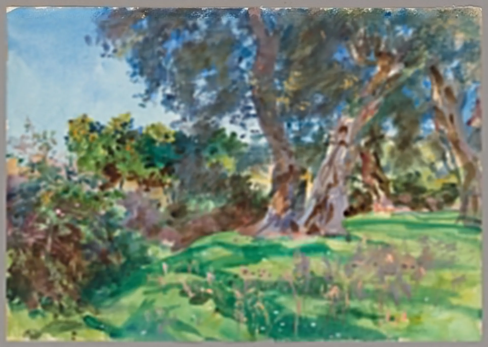 John Singer Sargent’ın Zeytin Ağaçları tablosu, 1909